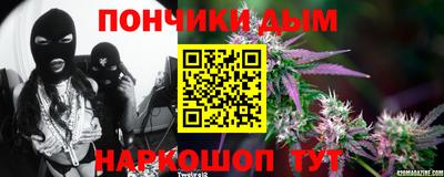 гидра Краснознаменск